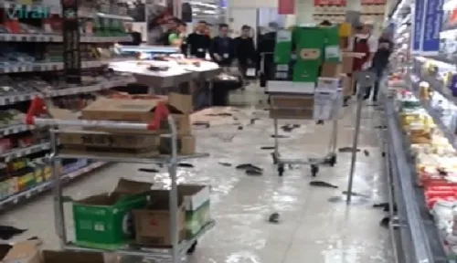 Vídeo de peixes tentando 'escapar' de supermercado viraliza na web; assista - Foto: UNILAD / Facebook