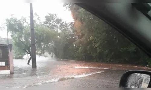 
							Chuva forte derruba mais de 10 árvores e alaga ruas em Arapongas
						
						