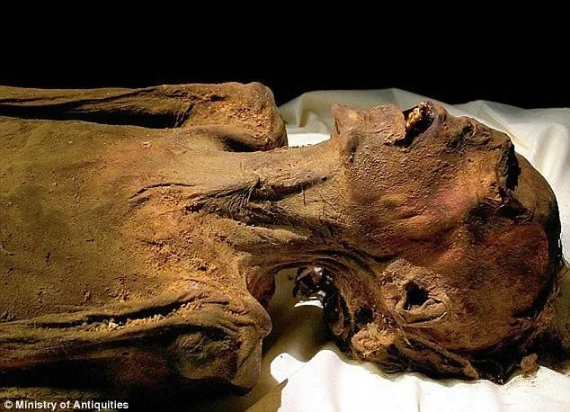 A Múmia que Grita (Daily Mail/Ministério de Antiguidades do Egito)