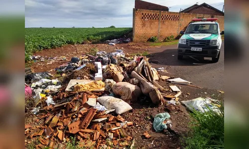 GM pede ajuda da população para identificar autores de crimes ambientais