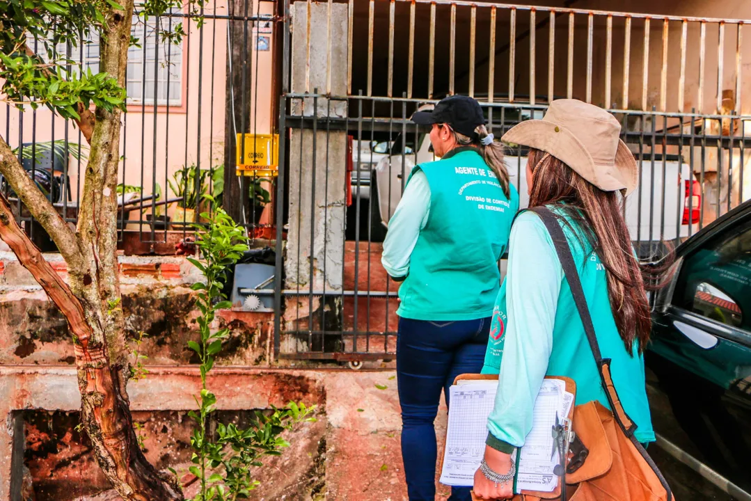 Apucarana mantém intensificação do controle da dengue