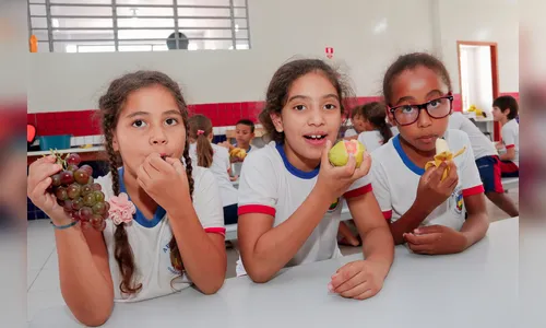 Modelo de incentivo a Agricultura Familiar é mostrado na região central do Estado