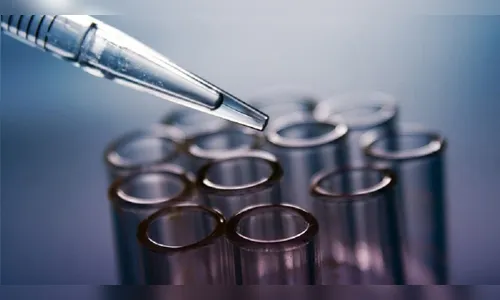 Cientistas desenvolveram primeiros porcos semi-humanos