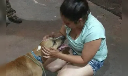 Cão desaparecido há 5 meses é encontrado comendo pipoca no cinema