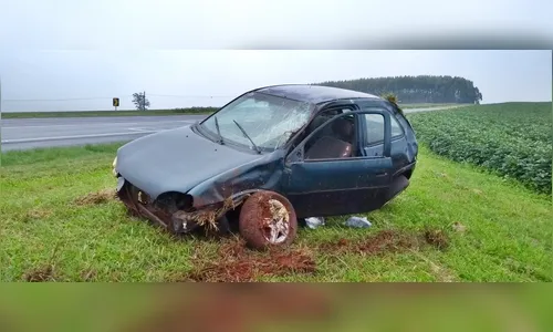 Motorista capota carro ao desviar de cachorro na BR-376