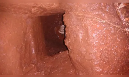 
							Polícia impede fuga de presos na cadeia de Faxinal
						
						