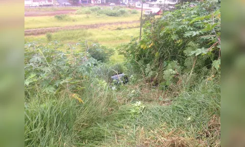 Carro com mulher e bebê perde freio e cai em ribanceira 