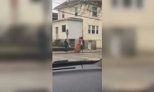Polícia é chamada após 'dinossauro' ser visto em cidade dos EUA; veja o vídeo