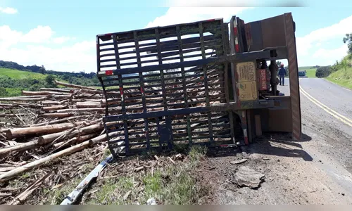 Caminhão carregado com toras de madeira tomba na PR-535