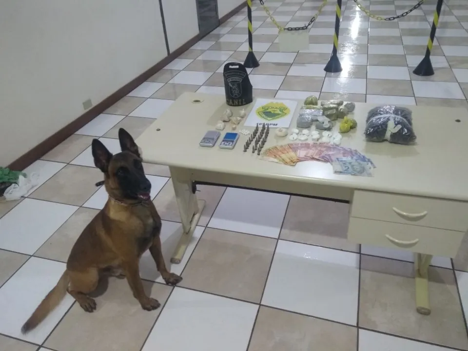 Cão Aço apontou que havia drogas dentro da TV. Foto: Divulgação/PM