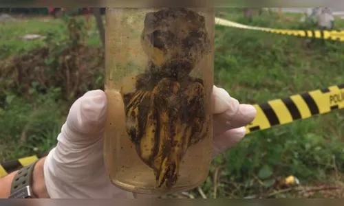 ET em pote de vidro mobiliza polícia no Paraná