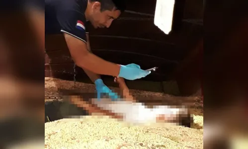 
							Criança brasileira é encontrada morta em carga de soja no Paraguai
						
						