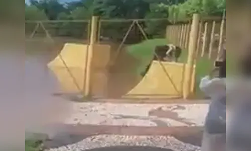 Moradores de cidade do MS encontram ‘fantasma’ em alagamento e ficam intrigados; veja vídeo