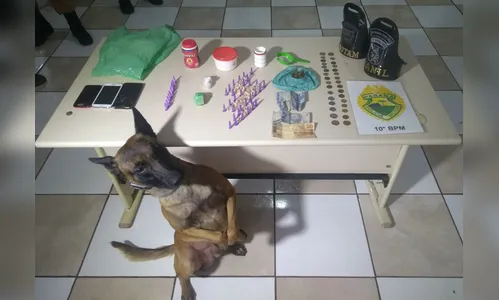 Cão farejador ajuda PM a apreender mais de 400 pedras de crack e 5 são detidos sob suspeita de tráfico