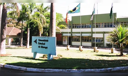 UEM acata recomendação do MP e suspende eutanásia de animas abandonados