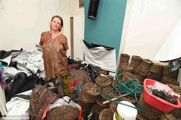 Mulher encontra apartamento cheio de maconha e 200 pés de 'cannabis' ao voltar de viagem - Foto: Liverpool Echo/Daily Mail​