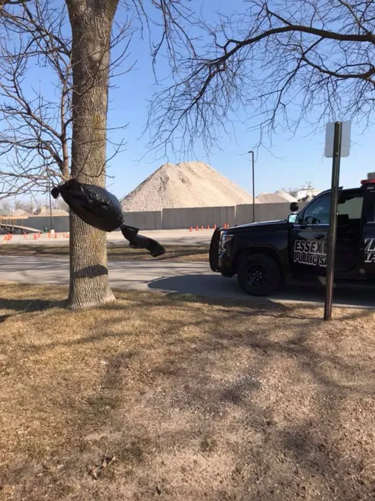 Saco preto de lixo pendurado de uma árvore, balançando ao vento no parque público Smith foi confundido com dementador. (Foto: Essexville Public Safety Department/Facebook)
