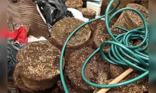
							Mulher encontra apartamento cheio de maconha e 200 pés de 'cannabis' ao voltar de viagem; veja vídeo
						
						