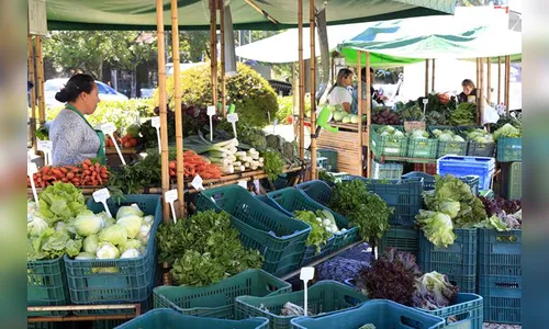 Foz do Iguaçu ganha feira semanal de produtos orgânicos