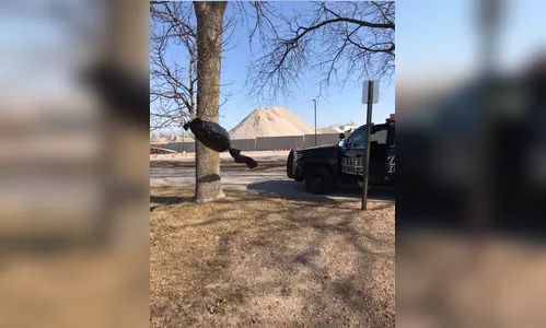 Pedestre confunde saco de lixo com 