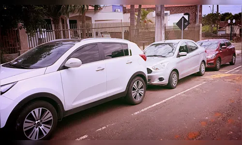 Polícia desmantela quadrilha especializada em roubo de veículos no PR