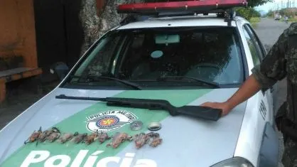 Passarinhos já depenados apreendidos com ambulante - Foto: Divulgação/Polícia Militar Ambiental
