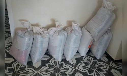 Funcionário é suspeito de furtar sacos de soja do patrão