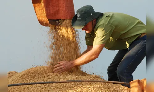 Economia do Paraná cresceu 2,5% - mais que o dobro do Brasil