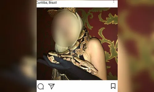 MP investiga presença de tigre e jiboia durante evento em casa noturna 