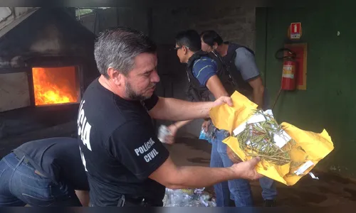 Polícia Civil incinera mais de 90 quilos de drogas avaliadas em R$ 300 mil