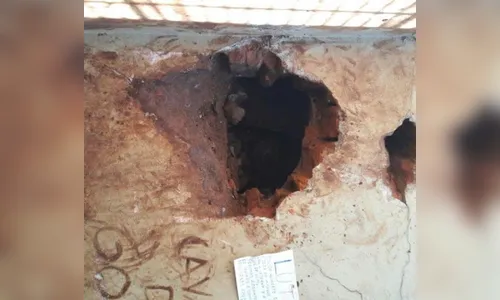 Oito presos fogem da cadeia de Faxinal