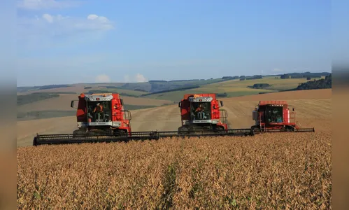 Agropecuária cresceu 11,5%, melhor resultado em quatro anos
