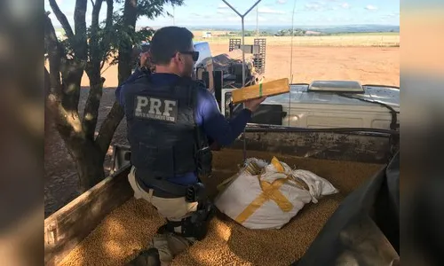 PRF apreende 1,4 tonelada de maconha em caminhão roubado no Paraná