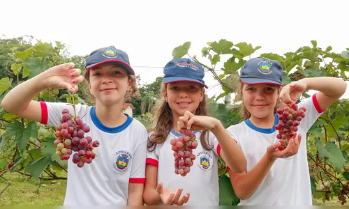 “Terra Forte” está entre finalistas do Prêmio MuniCiência, da CNM