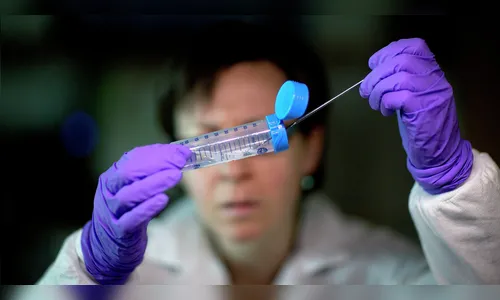 LUCA dos nossos tempos: cientistas criam nova forma de vida