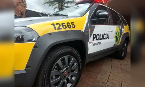 Homem mata dois gatos e agride esposa em Apucarana