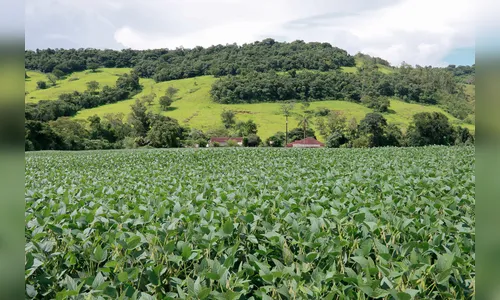 Produtores rurais têm até segunda para devolver notas emitidas