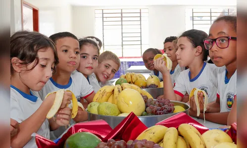 “Terra Forte” está entre finalistas do Prêmio MuniCiência, da CNM