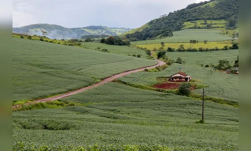 Produtores rurais têm até hoje para devolver notas emitidas na prefeitura