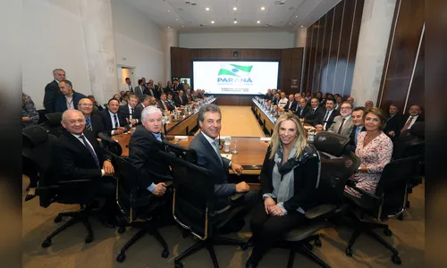 Richa anuncia desincompatibilização do Governo do Estado