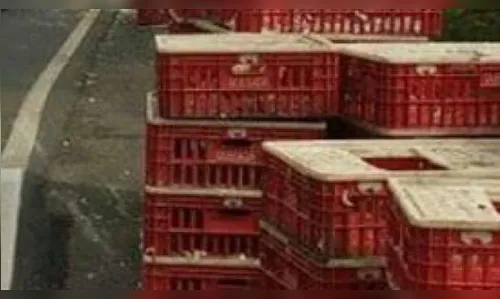 Carga de dez mil quilos de frango é saqueada em União da Vitória