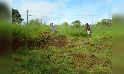 Jardim Alegre inicia limpeza em terrenos baldios
