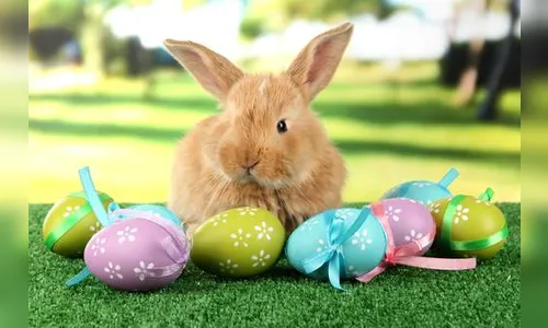 Saiba porque ovos e coelhos são símbolos da Páscoa