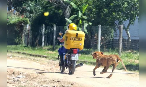 Funcionária dos Correios é mordida por cachorro e dono do animal se nega a prestar socorro