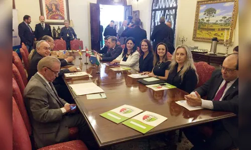 Conselho estuda ações de combate à violência contra a mulher