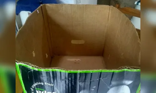 Homem se apresenta à polícia e diz que pode ser pai de bebê abandonado em Maringá