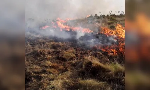 Queimadas já começam a dar trabalho para os Bombeiros em Apucarana