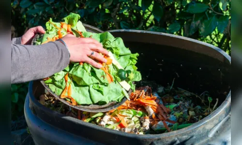   Desperdício na cadeia alimentícia será tema de fórum no Paraná