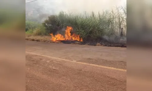 Queimadas voltam a exigir mobilizações dos Bombeiros em Apucarana e Arapongas