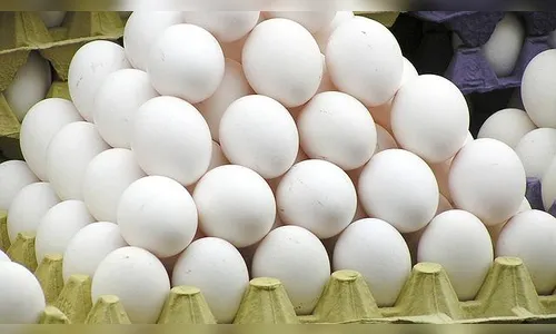 Adolescente é apreendido furtando ovos de granja em Arapongas